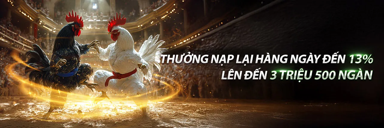Hình ảnh đá gà kịch tính tại vin678